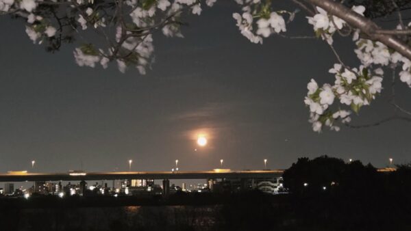 2026年４月４日　ヤングケアラーズカフェ若葉・鹿骨🌸🌸🌸