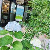 2026年6月13日　ヤングケアラーズカフェ若葉　中央