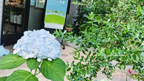 2026年6月13日　ヤングケアラーズカフェ若葉　中央