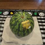 8月のヤングケアラーズカフェ若葉　中央🍉