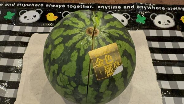 8月のヤングケアラーズカフェ若葉　中央🍉